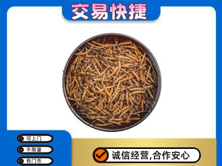 襄阳襄城区回收散虫草